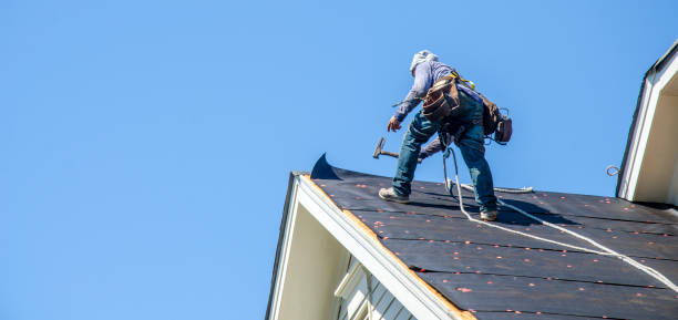 Best Roof Gutter Cleaning  in Alba, NY